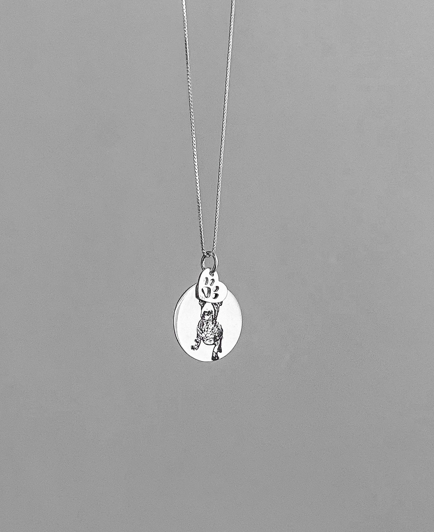 Collar Fotograbado Mascota