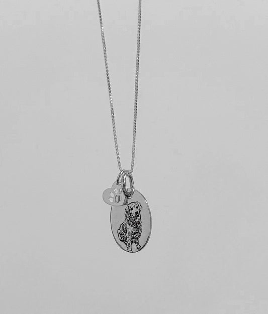 Collar Fotograbado Mascota